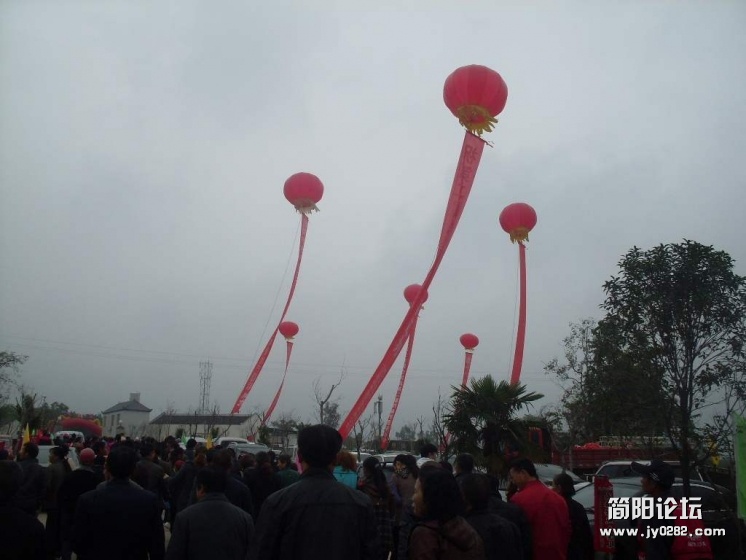 SDC11232.jpg