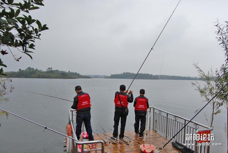 DSC_1184.JPG