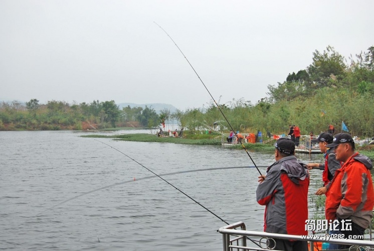 DSC_1224.JPG