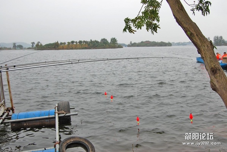 DSC_1248.JPG