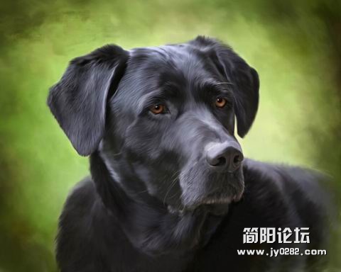 照片效果的油画.jpg
