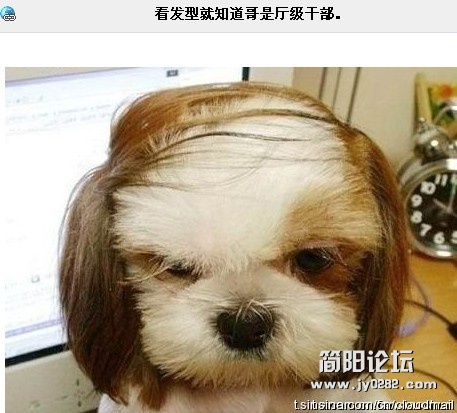 看发型就是个厅级干部.jpg