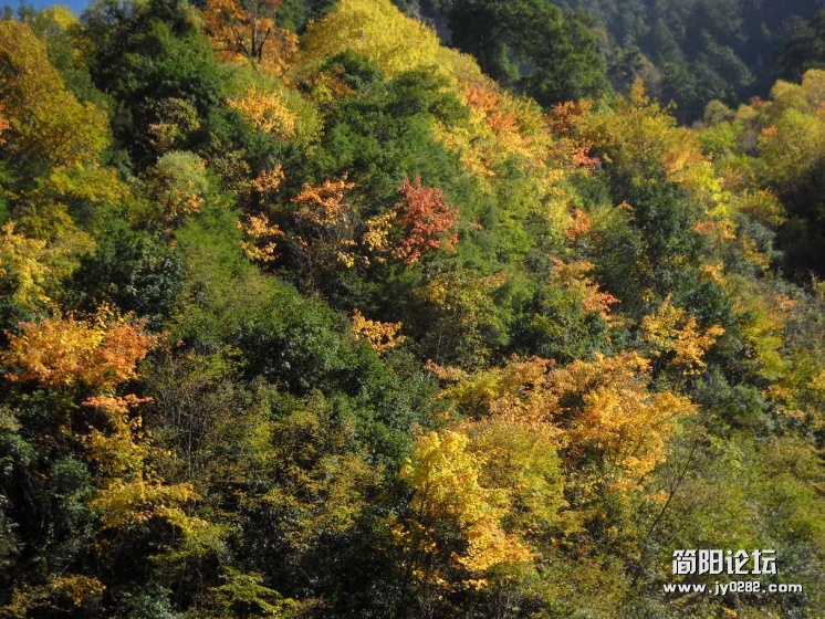 DSCN0059.JPG