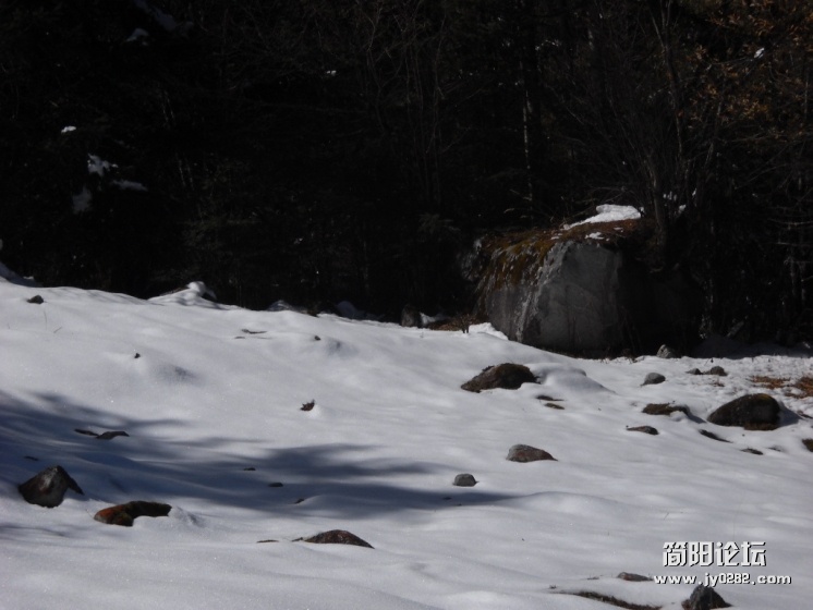DSCN0036.JPG
