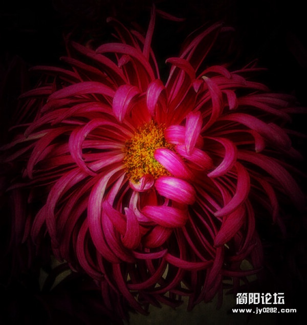 2011.10.29.拍摄于青白江凤凰湖