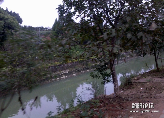 2011-10-18_16-50-52_763.jpg