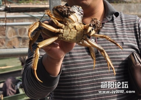 未命名.jpg