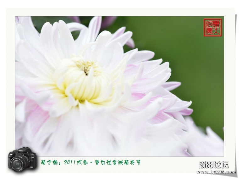 DSC_3979.jpg