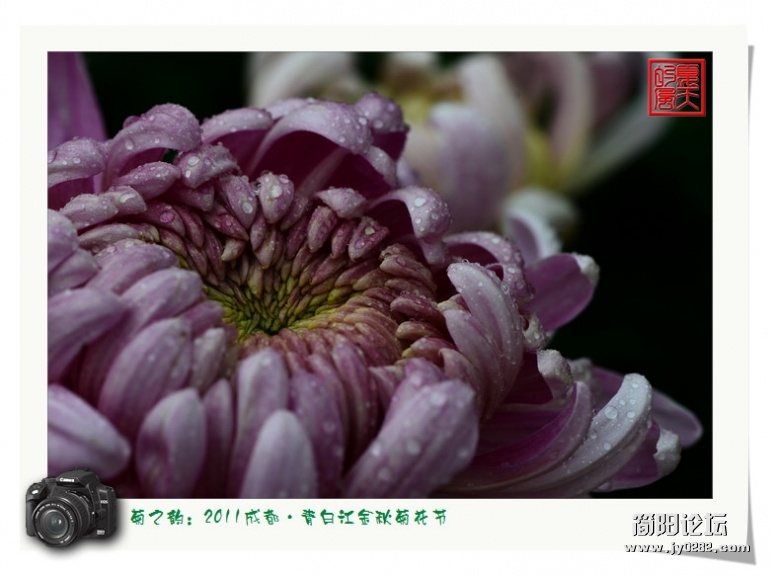 DSC_4036.jpg