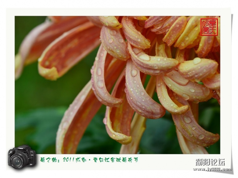 DSC_4045.jpg