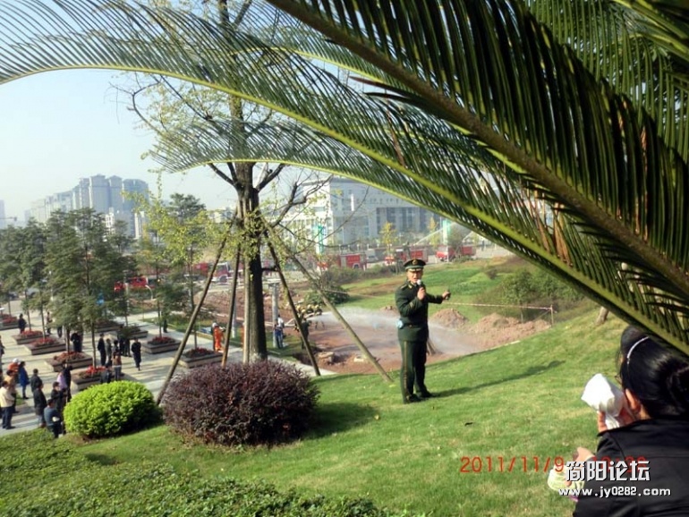 CIMG3482.jpg