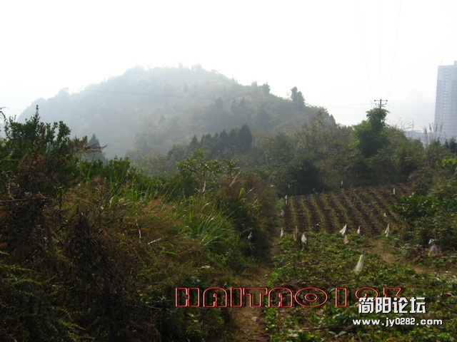 简阳鳌山