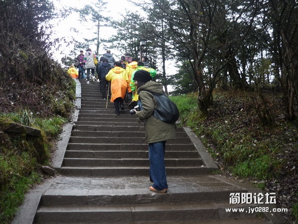 P1040447.JPG