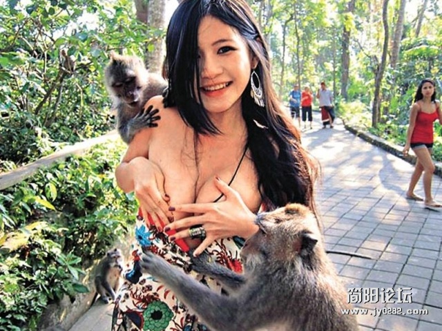 猴子抢食非礼辣妹女游客 扯下胸部衣衫.jpg