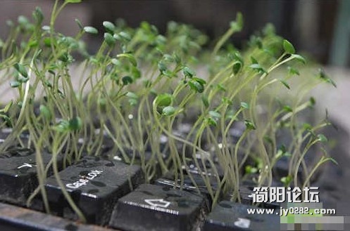 20111115-2.jpg