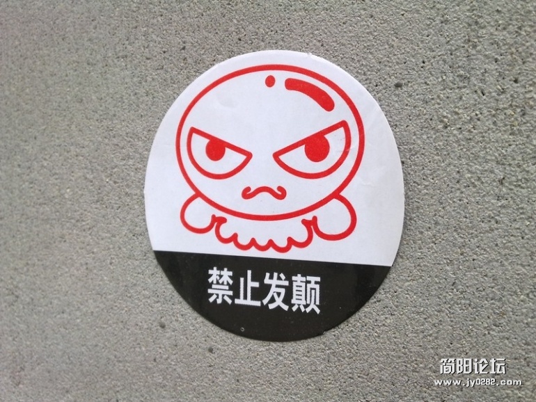 20111114.jpg