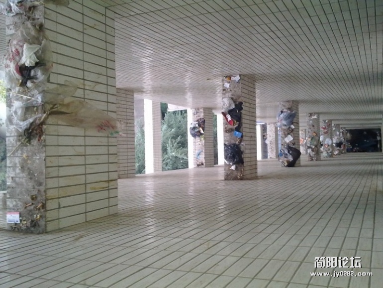 20111105142.jpg