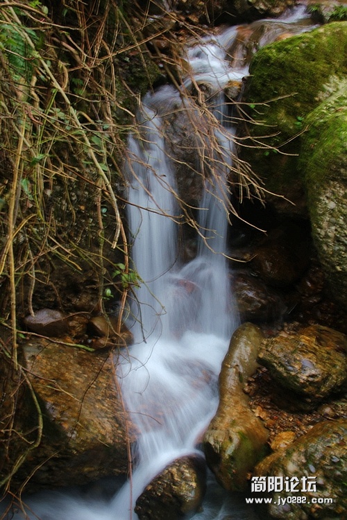IMG_8751.JPG