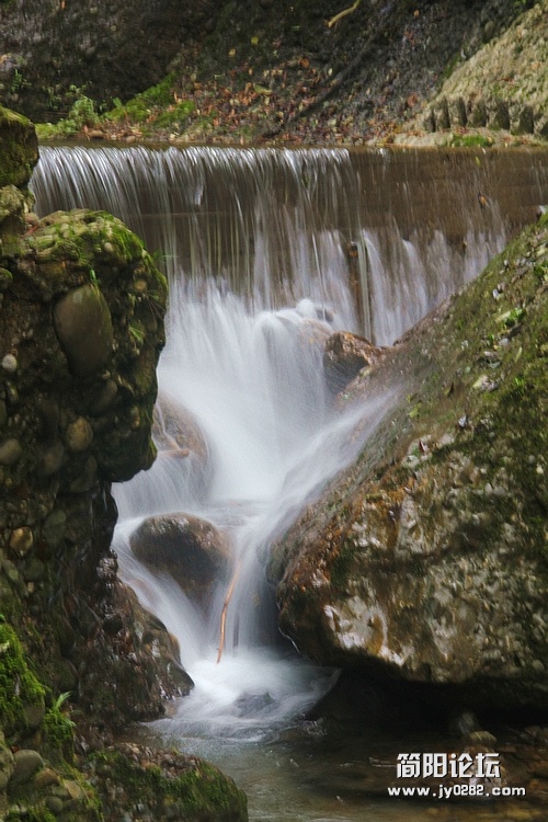 IMG_8762.JPG