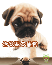治安基本靠狗.gif