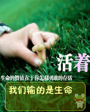 2.gif