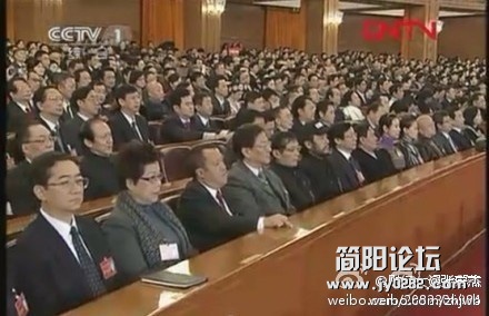 488d2478tw1dnetlawp5pj.jpg