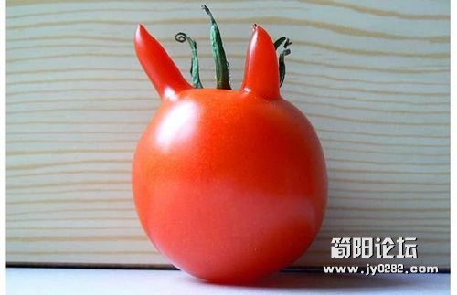 世界各地奇形怪状的水果rqg0qtp.jpg