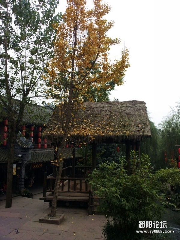 20111121_150953.jpg