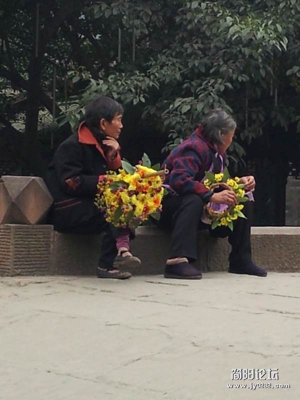 20111121_151310.jpg