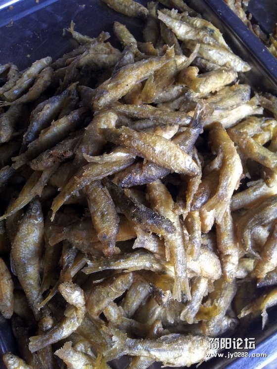 20111121_152120.jpg