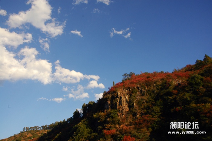 _SC_4565.JPG