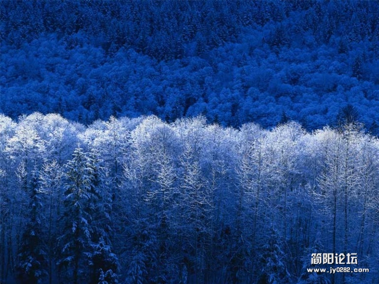 Winter.jpg