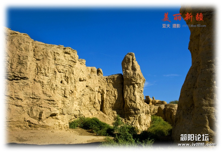 _DSC4907副本.jpg