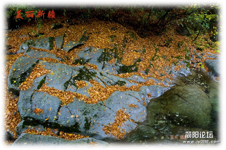 _DSC6102副本.jpg