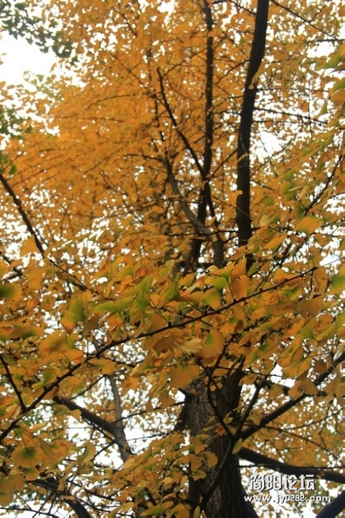 IMG_8944.JPG