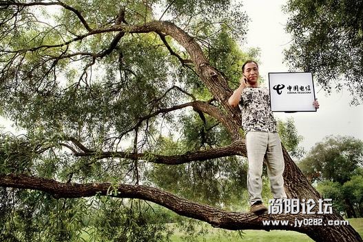 第十一位：中国电信_副本.jpg
