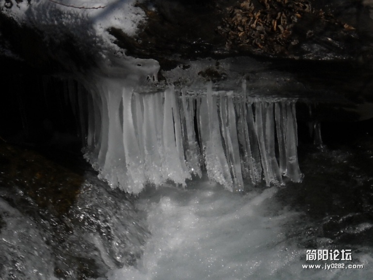 DSCN0199.JPG