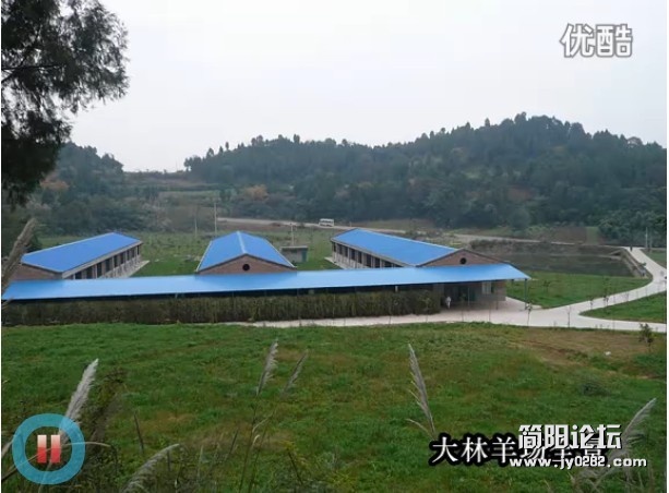 正东1.jpg