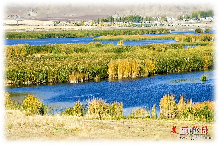 _DSC1180副本.jpg