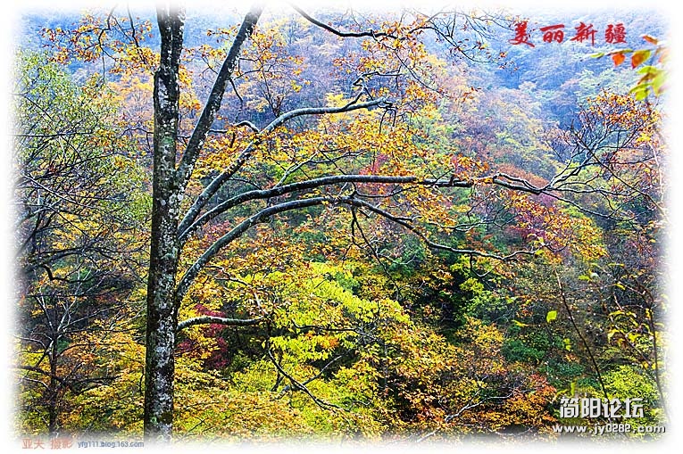 _DSC6031副本.jpg