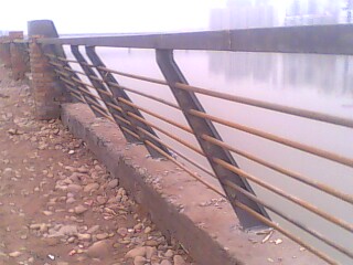 IMG3613A.jpg