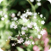 韩系怀~2.GIF
