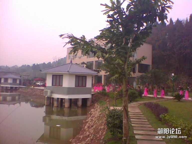 IMG1484A.jpg