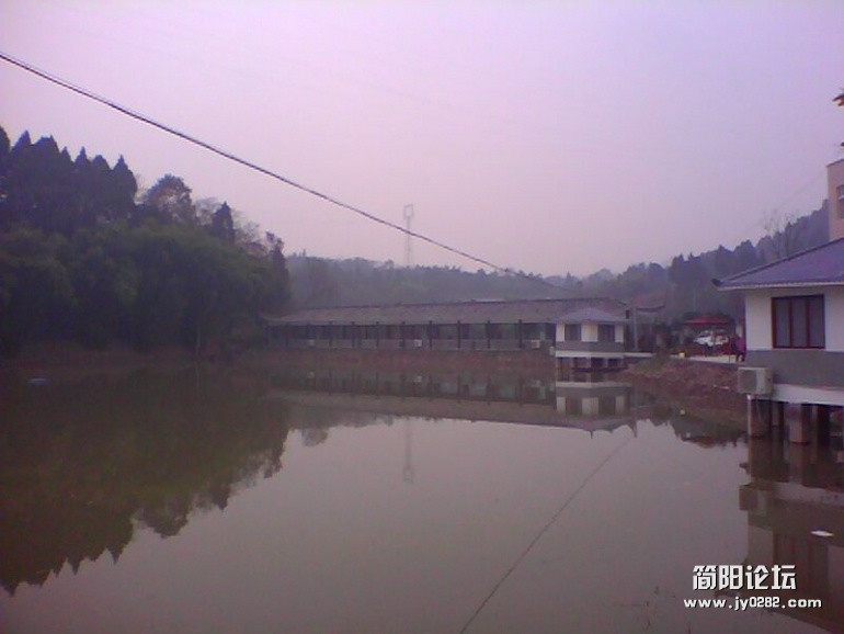 IMG1483A.jpg