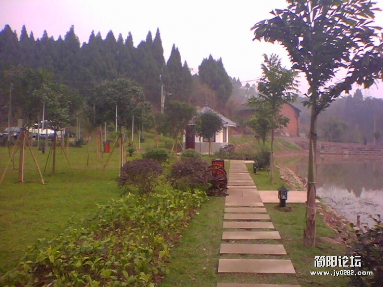 IMG1481A.jpg