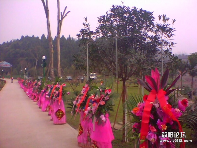 IMG1480A.jpg
