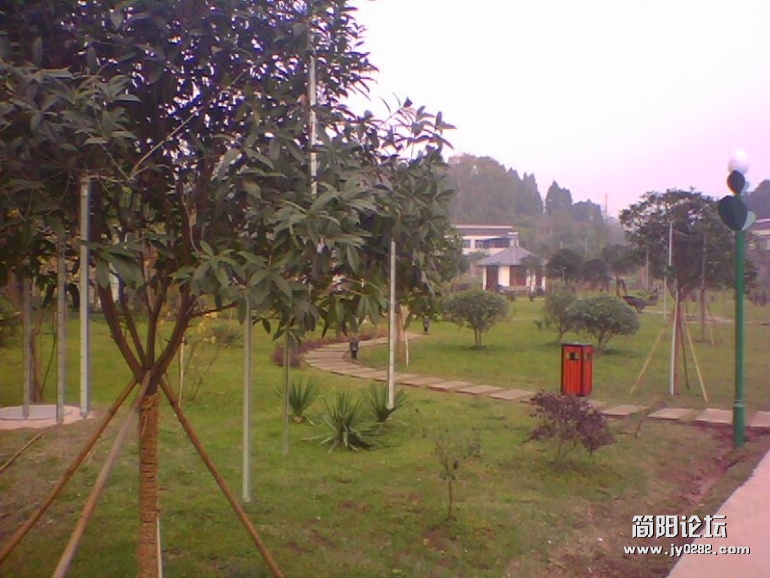 IMG1479A.jpg