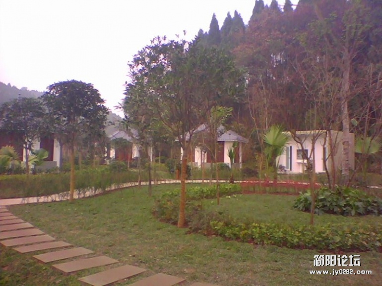 IMG1468A.jpg