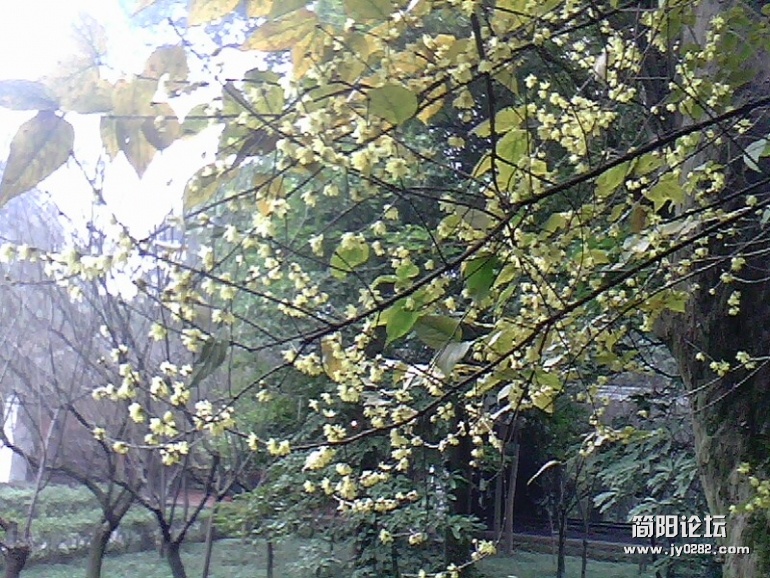 010112-1124.jpg