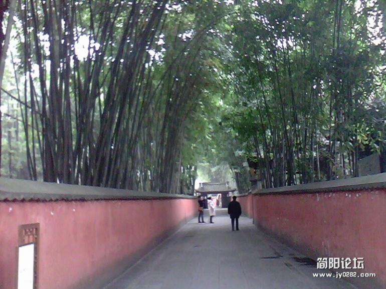 010112-1135(002).jpg